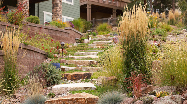 Ornamental Grasses and ice plants line this stone stairway
