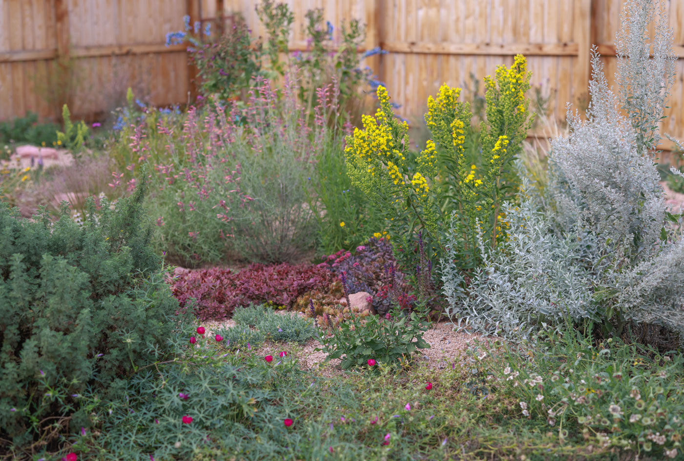 High Country Gardens Planting Guides High Country Gardens Planting Guides