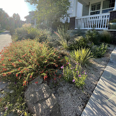 Plant Select® Plants