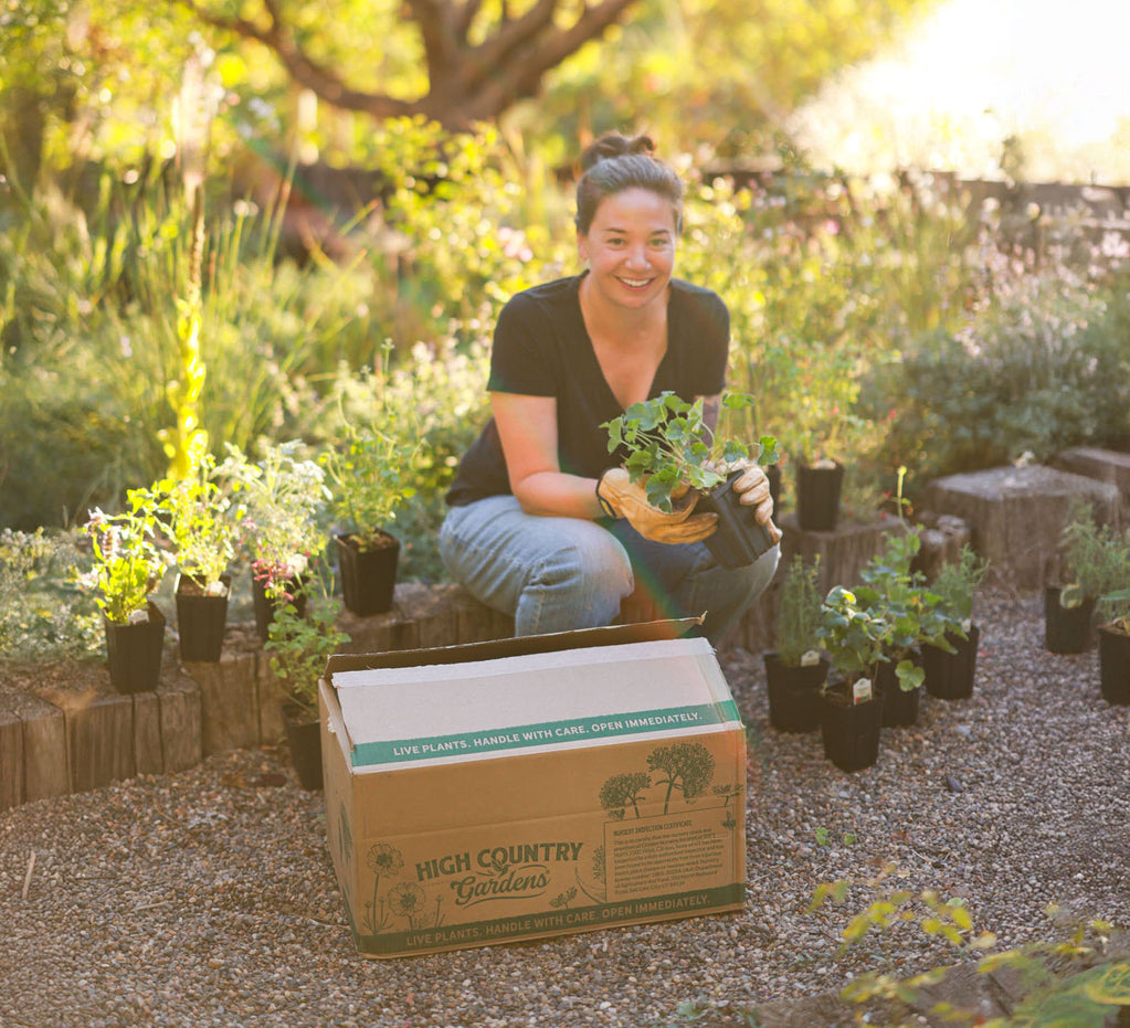 Woman in a garden holding plants next to a 'High Country Gardens' box.