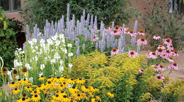 The Summer Dreams Pre-Planned Garden is perfect for small spaces and features a mix of flower shapes and heights.