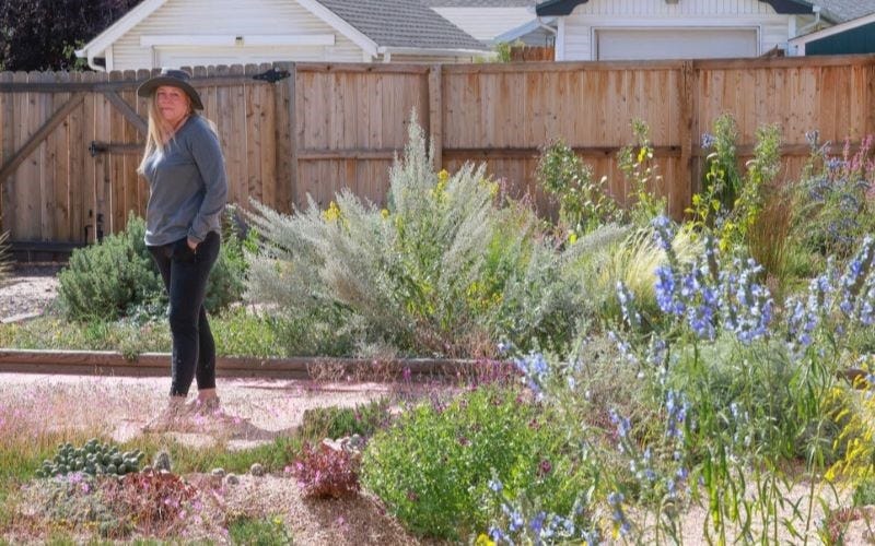 Waterwise Garden Inspiration In The Mile High City Waterwise Garden Inspiration In The Mile High City