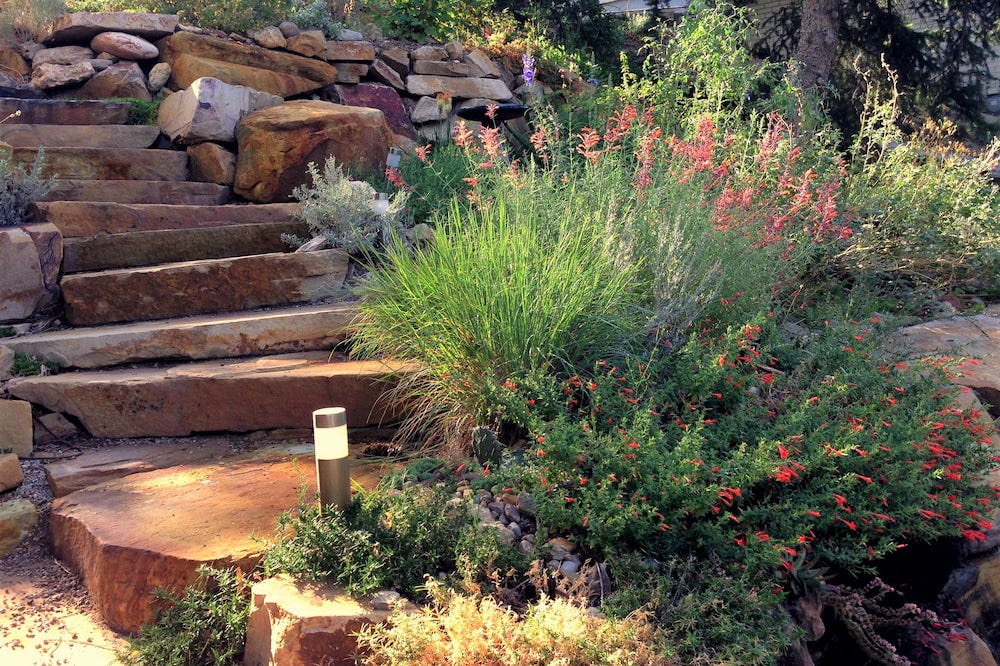 Agastache, Ornamental Grass, and Zauchneria are three very waterwise plants that are well-suited to this dry, rocky walkway. This textural trio offers long-lasting blooms and fragrance to greet visitors with little maintenance needed.