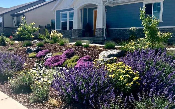 The Jumbo Waterwise Pre-Planned Garden is our most popular Pre-Planned Garden of all time! Shown here in our customer Alicia H.'s Utah garden.