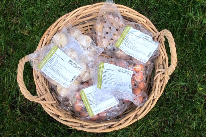 Flower bulbs ready for shipment