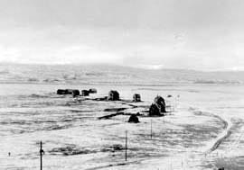 Chronological History of the Cheyenne Horticultural Field Station/High Plains Grasslands Research Station (1928-2008)