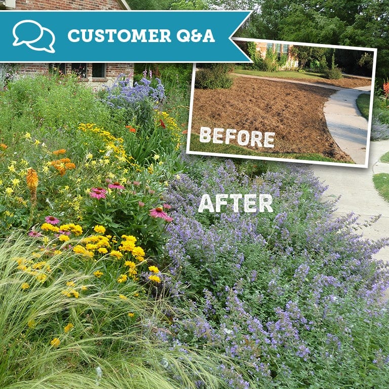A before and after of Rajesh J.'s Dallas, TX area home