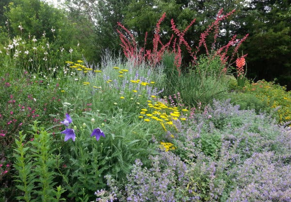 Garden near Dallas, TX