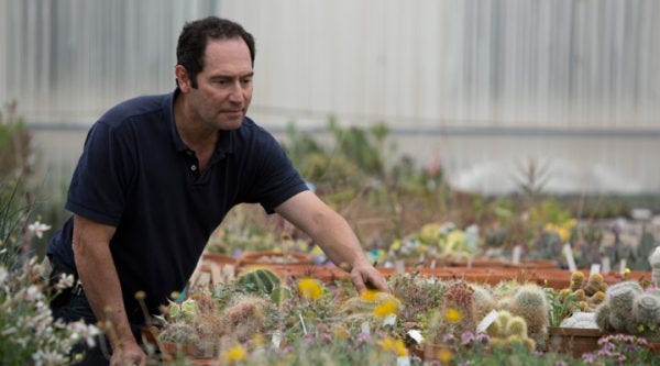 Horticulturist and Founder and Chief Horticulturist David Salman caring for succulents in the greenhouse.