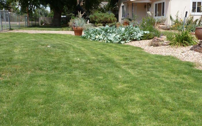 Dog Tuff, A Sustainable Lawn Solution Dog Tuff, A Sustainable Lawn Solution