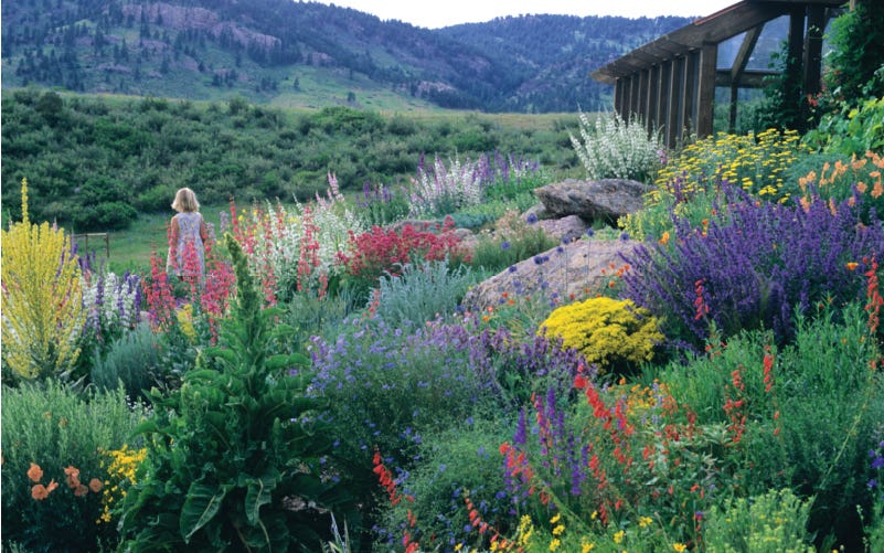 Gardening With Water Conservation in Mind