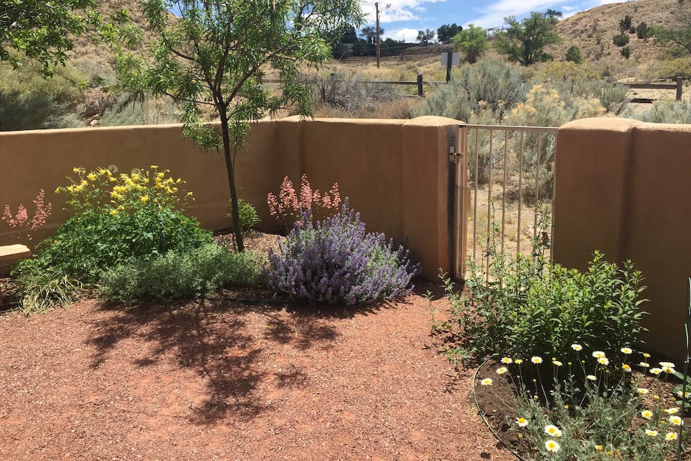 Pink flowering Coral Bells (Heuchera), yellow Columbine, purple Nepeta flowers, and white Marguerite Daisy (Anthemis) are in bloom along this colorful spring walkway. Customer photo by Laura K.