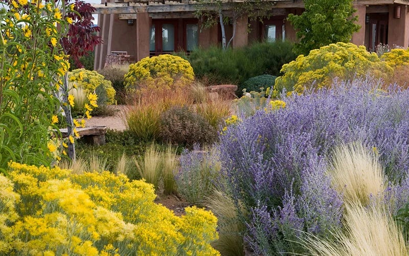 Sustainable Backyard Learning Center