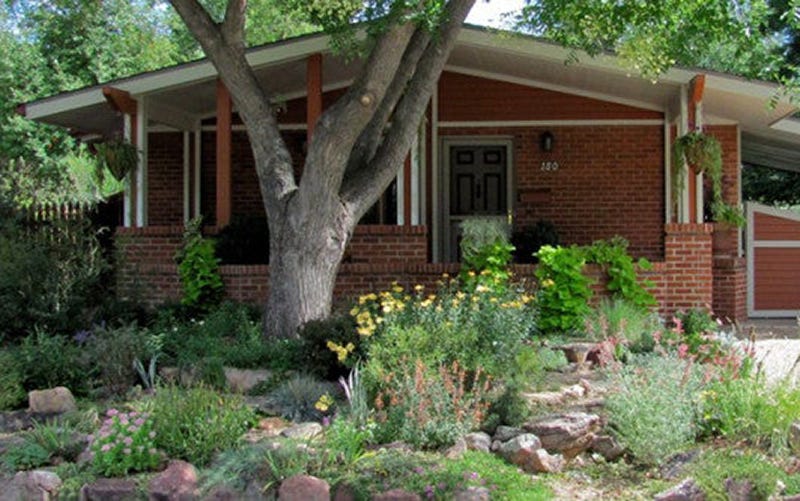 A Habitat Hero Wildscape In Boulder A Habitat Hero Wildscape In Boulder