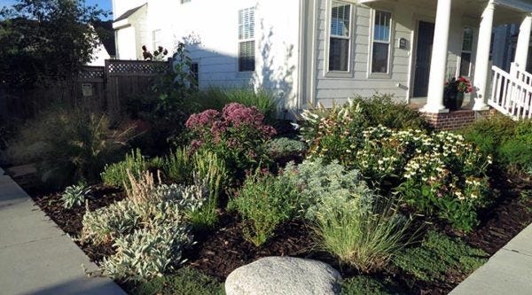 know the microclimates in your garden