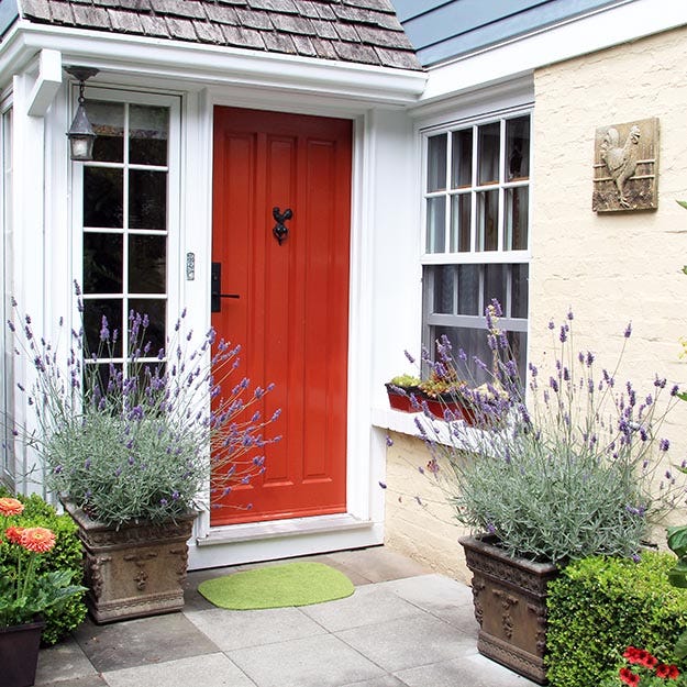 lavender container garden