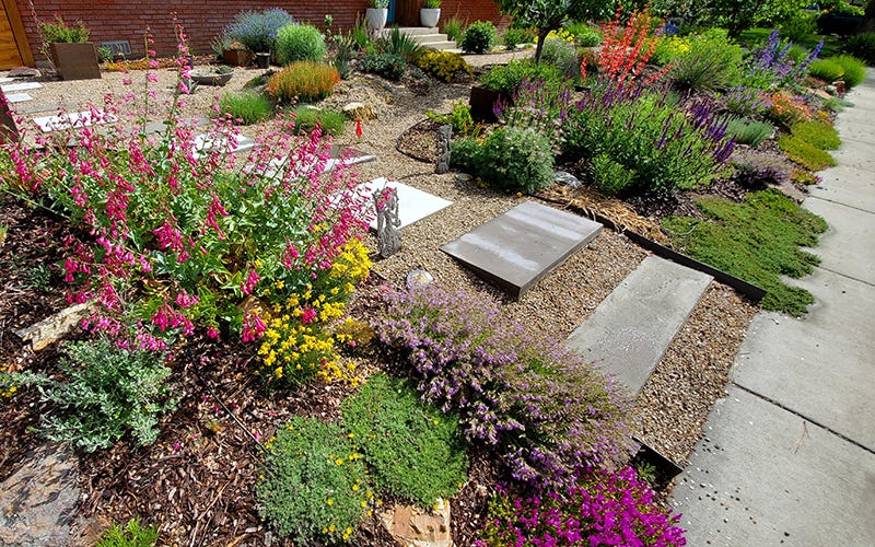 Customer Garden: Replacing A Bluegrass Lawn With Bold Color In Boise Customer Garden: Replacing A Bluegrass Lawn With Bold Color In Boise