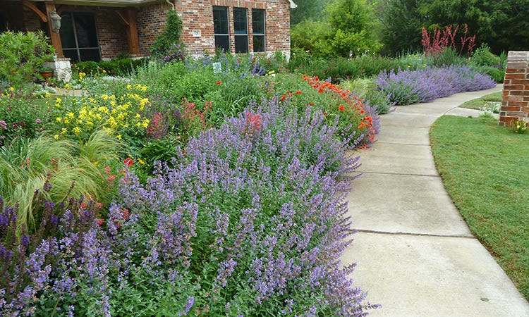 garden in texas