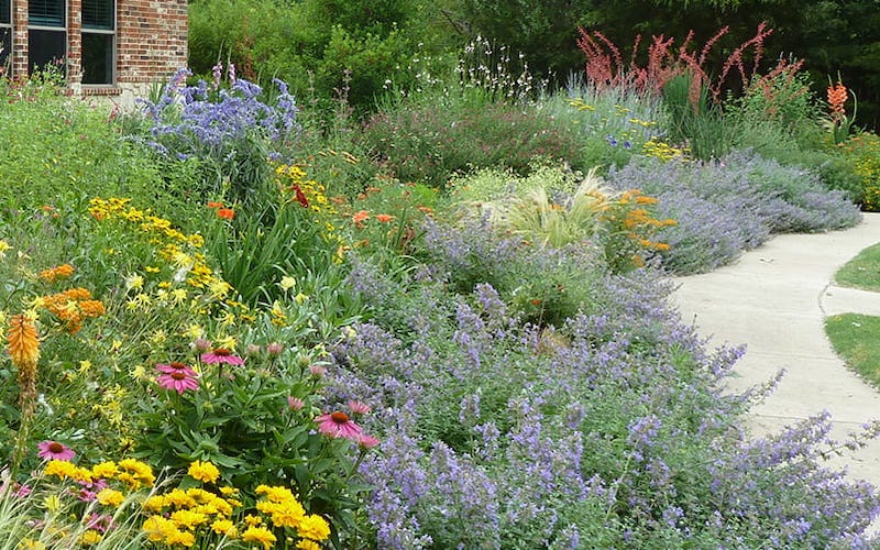 High Country Gardens Customer Landscapes