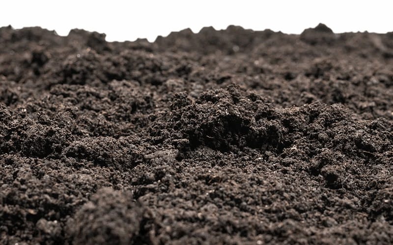 Soil