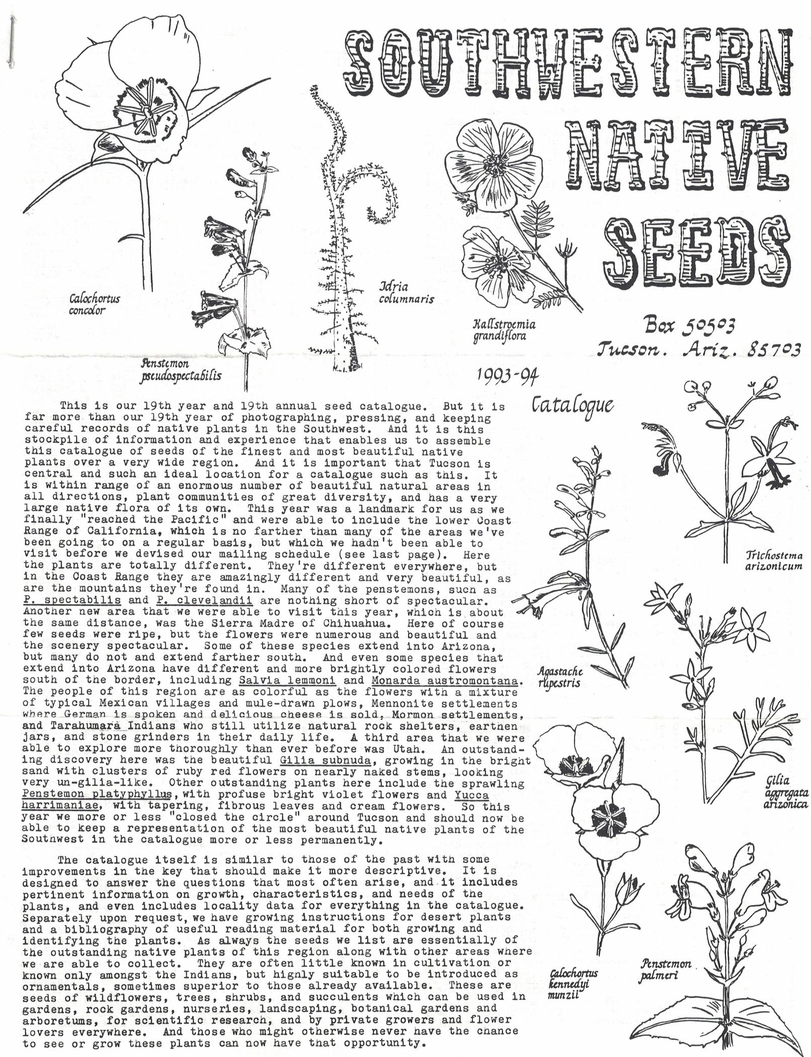 An image of the cover of the 1993-1994 Southwestern Native Seeds catalog. Hand-drawn illustrations on the cover include Agastache rupestris.