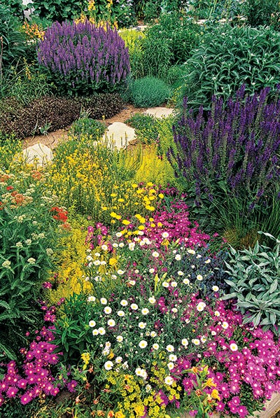 perennial garden in bloom