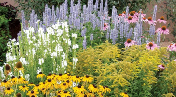 Summer Dreams Pre-Planned Garden