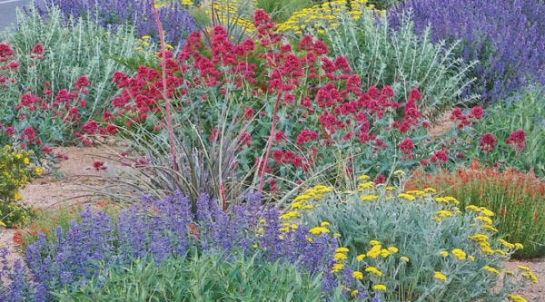 Easy Garden Design with our Summer Showstopper Pre-Planned Garden