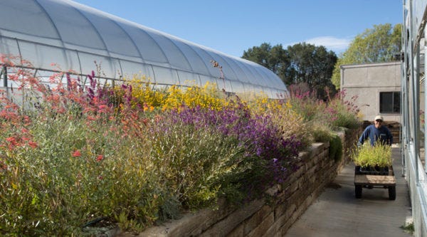 Greenhouse test garden and horticulural expert.