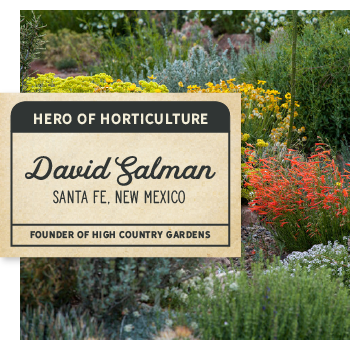 Click to learn more about david salman