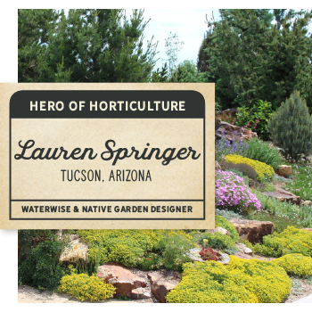 Click to learn more about lauren springer