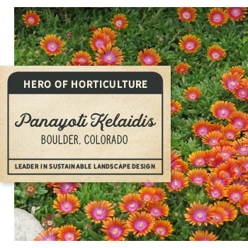 Click to learn more about panayoti kelaidis