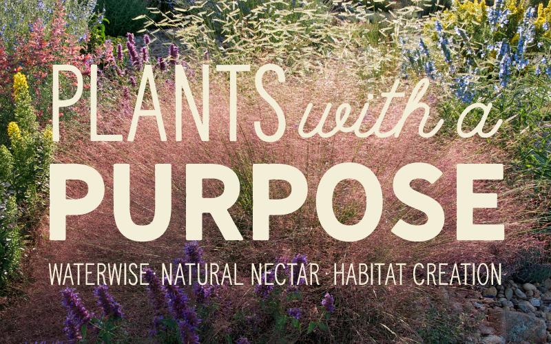 Plants With A Purpose
